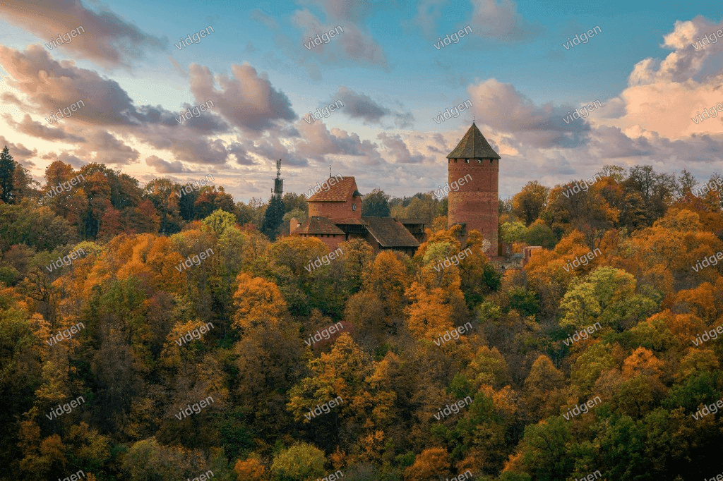 Image with watermark before removal